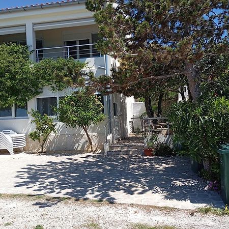 Apartment Sanja Petrcane Bagian luar foto