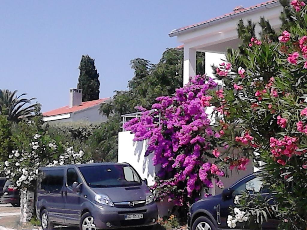 Apartment Sanja Petrcane Bagian luar foto