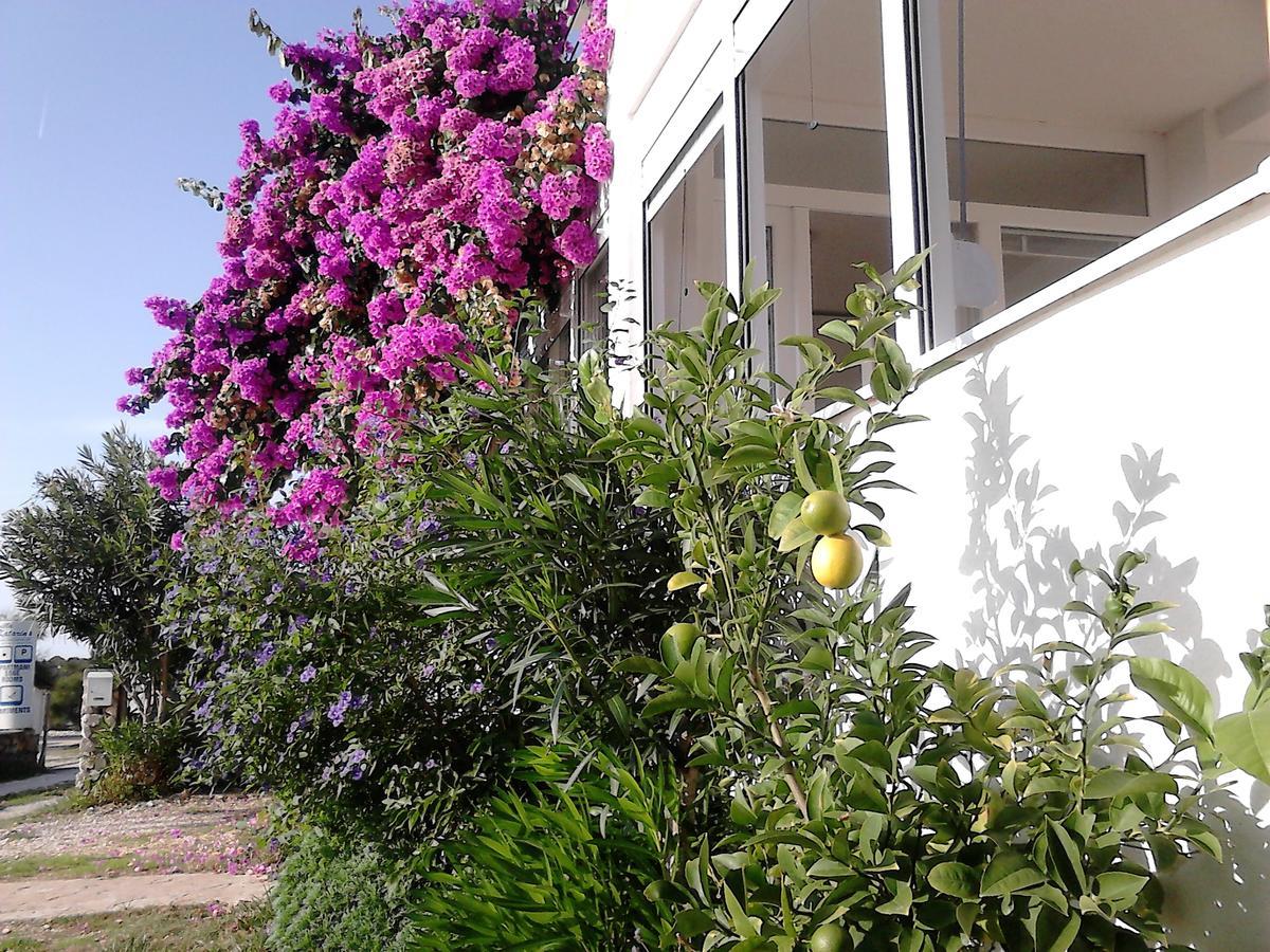 Apartment Sanja Petrcane Bagian luar foto